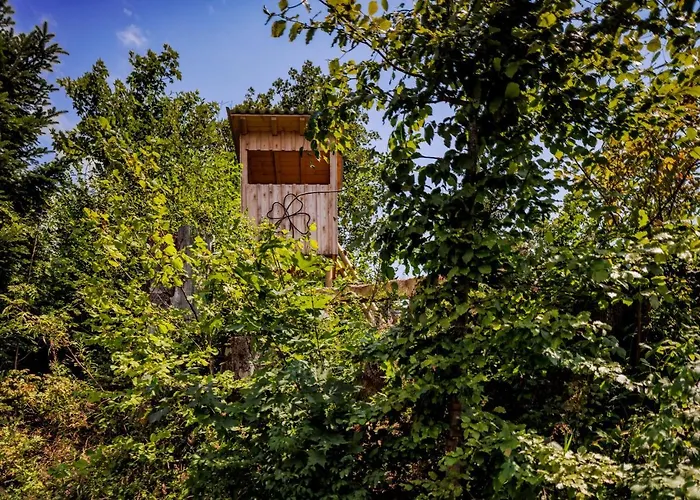 Pfänderglück Lochau